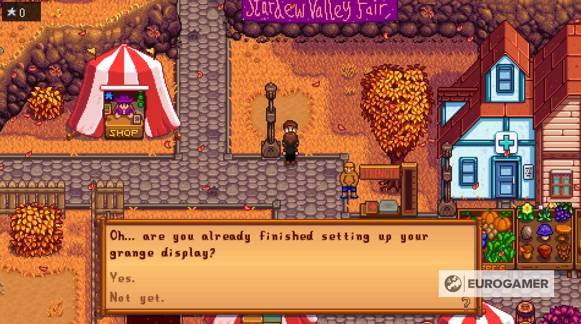 Stardew Valley Stardew Valley Fair, including Grange Display and Star